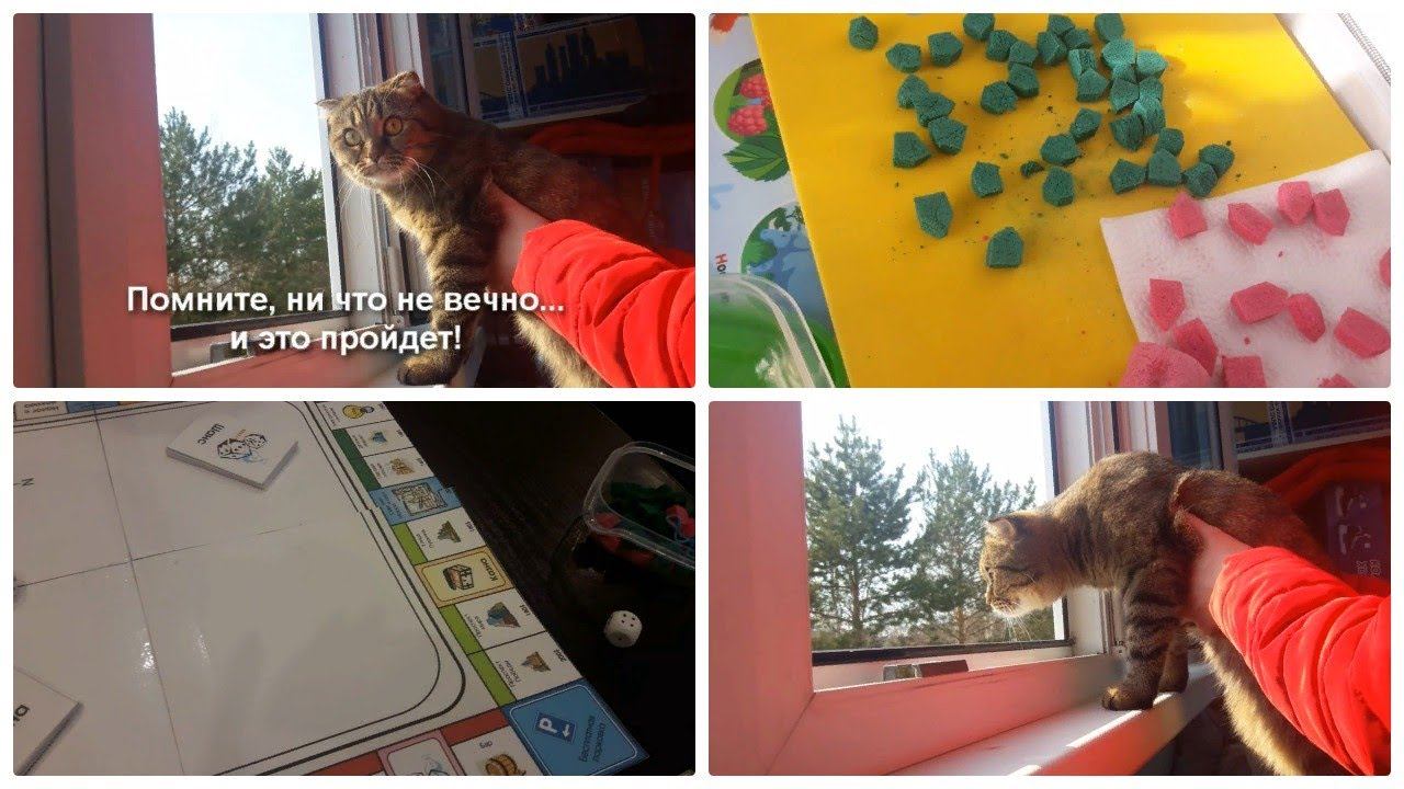 Влог на карантине\ Монополия своими руками смотреть онлайн