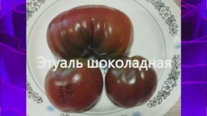 Каталог томатов на 2026 год. Часть 13. г. Киров.  т. 89229284031