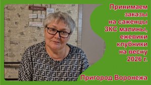 Принимаем предварительные заказы на саженцы на весну 2026 г. по цене осени 2025 г. Пригород Воронежа