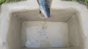 Хитные способы ловли рыбы в затопленной местности