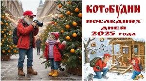 КОТоБУДНИ последней декады декабря...