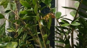 Тьма и Свет