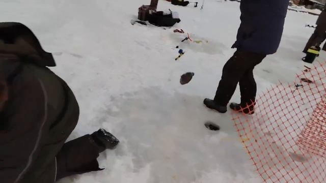 02.01.26 г. РК Волна. смотреть онлайн