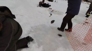 02.01.26 г. РК Волна.