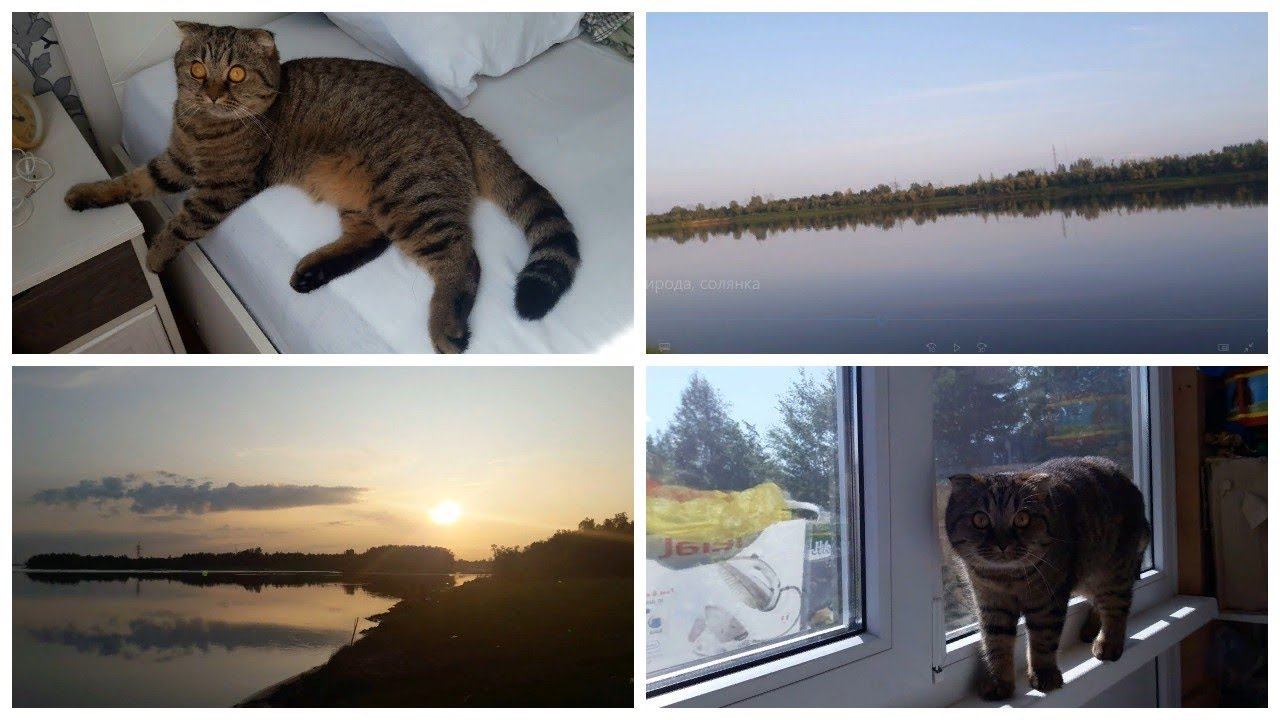 Vlog. Природа\ Солянка\ смотреть онлайн