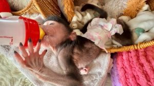 Николь ДАЕТ ЖАРУ ночью и днем, наверно реагирует на резкое изменение погоды!