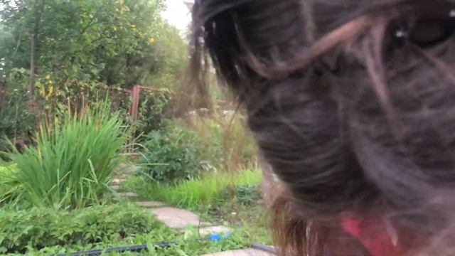 Прятки с Любавой! смотреть онлайн