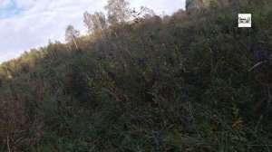 Место ядерных испытаний в глухих лесах Ивановской области. Фрагменты осенней поездки.