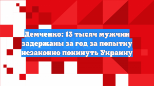 Демченко: 13 тысяч мужчин задержаны за год за попытку незаконно покинуть Украину