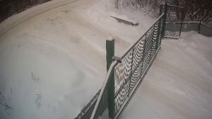 LIVE: channel74055310