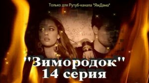 Впечатления от 14 серии турецкого сериала "Зимородок"