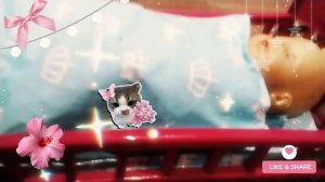 маленький переход но я в куклы не играю