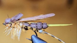 Имитация Саранчи и Кузнечика