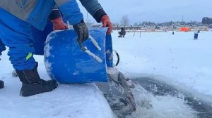 Запуск форели