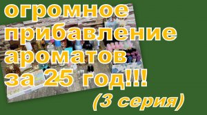 СКОЛЬКО ПОЯВИЛОСЬ АРОМАТОВ В 2025 году (3 СЕРИЯ)