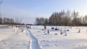 Рассказ - "Новогодняя история"