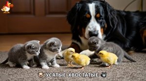 Котята и щенята 🐈🐶 Кошки и собаки 🤗 Милое видео про животных (38)