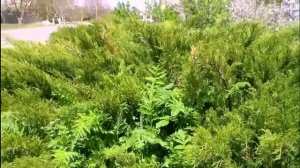 Охримовка - 11.