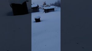 ОТ ЧЕГО ПОГИБЛА ПТИЦА?