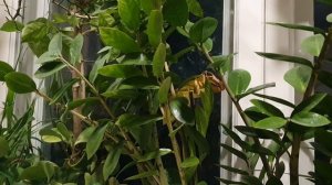 Свет и Тьма