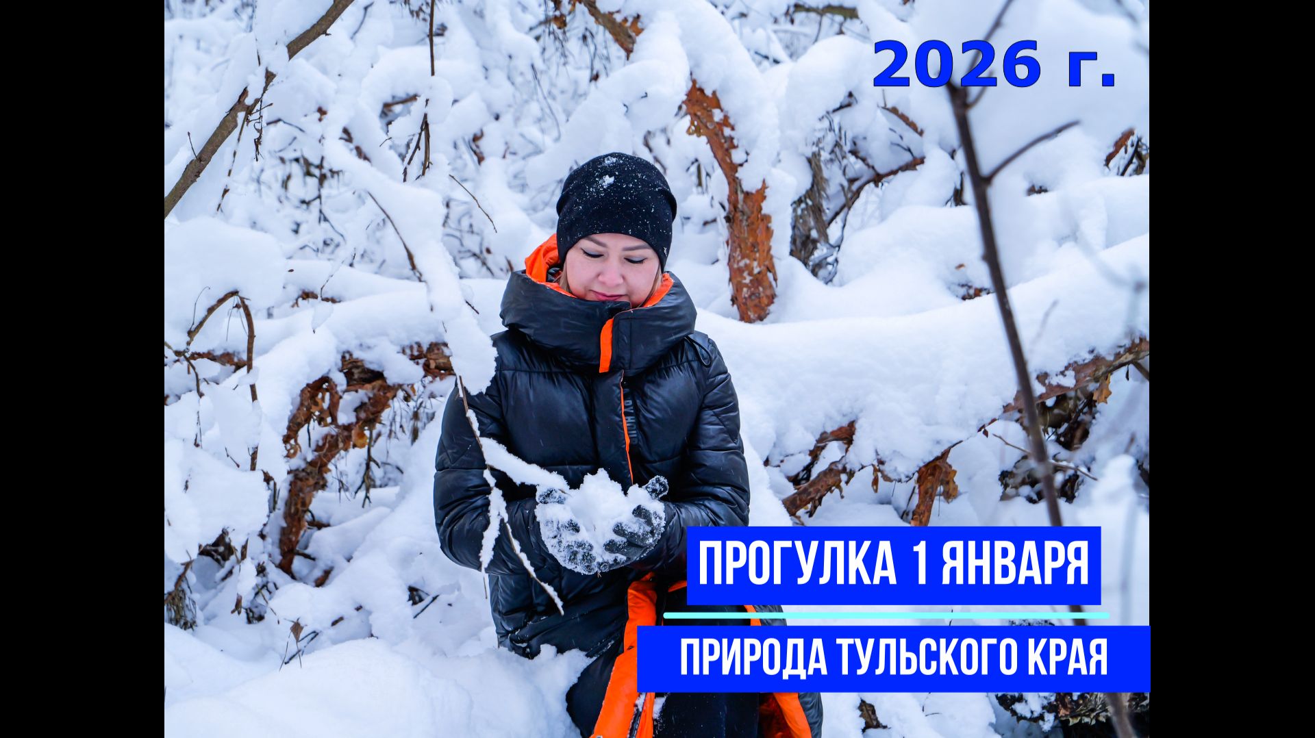 Прогулка 1 января 2026 по заснеженному лесу смотреть онлайн