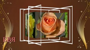 ЛЮБИМОЙ ЖЕНЩИНЕ