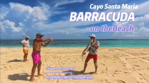 Поймал на пляже