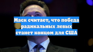 Маск считает, что победа радикальных левых станет концом для США