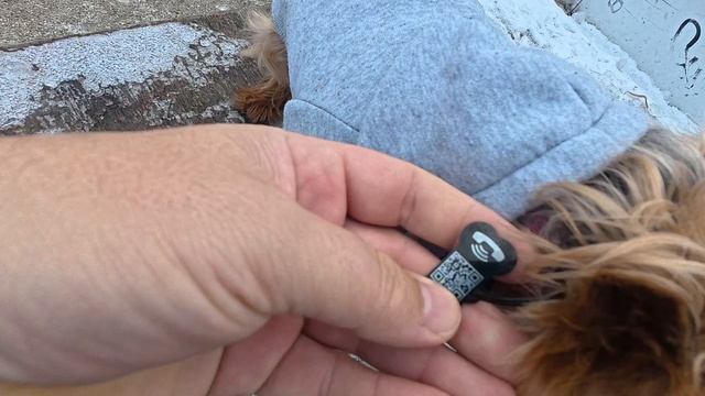 ЙОРК.брелок с QR кодом.Краснодар 2026