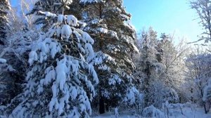 Прогулка в зимнем лесу