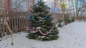 Снег в Анапе. Прогулка с любимкой