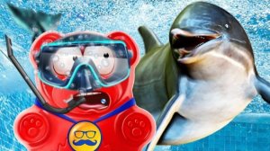 ℹ️ НОВЫЕ ПРИКЛЮЧЕНИЯ МЕДВЕДЯ ВАЛЕРЫ НА МОРЕ С ДЕЛЬФИНАМИ