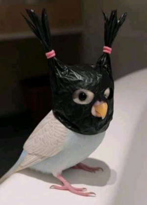 смотрим мои рисунки чек#