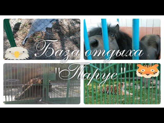 База отдыха "Парус" поход в зоопарк. смотреть онлайн