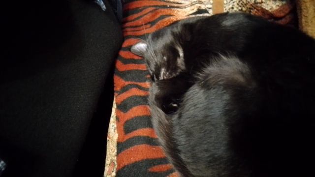 Приметы. смотреть онлайн