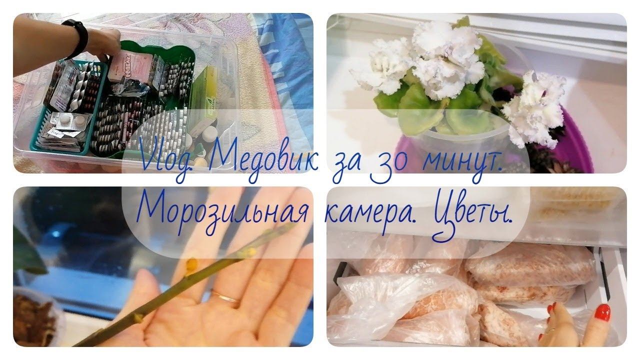 Vlog. Медовик за 30 минут. Расхламляем аптечку. Морозильная камера. Цветы. смотреть онлайн