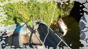 Пора сматывать удочки