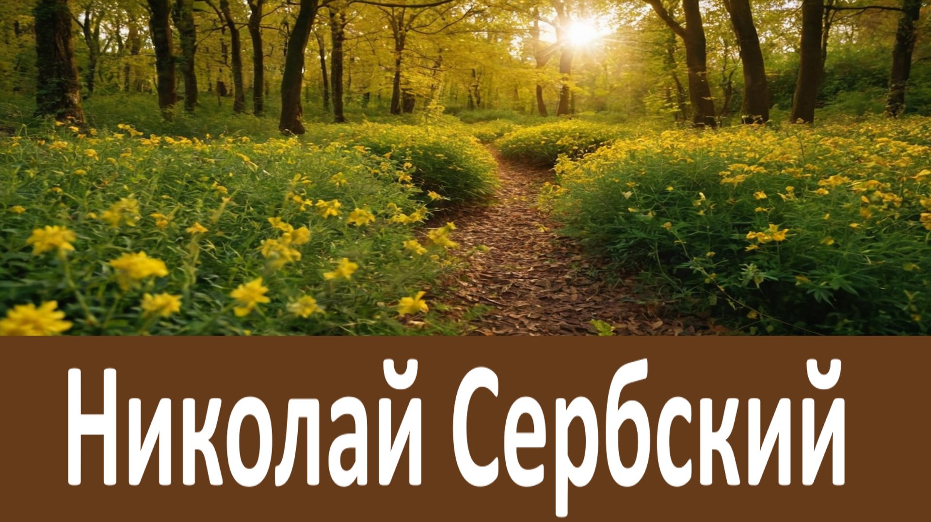 Молодежи особенно нужно беречься от этого зла...  Святитель Николай Сербский смотреть онлайн