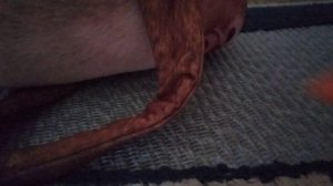 вторая часть 3 серии 1 сезона те самые которые двое