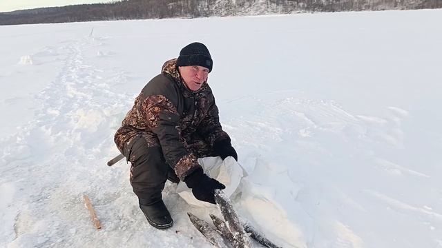 Рыбы нет! Есть ССЮКА!!! 😁😁😜 смотреть онлайн