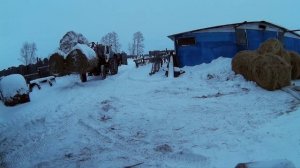 Хлопочем вечерком. ЮМЗ-6 возит сено