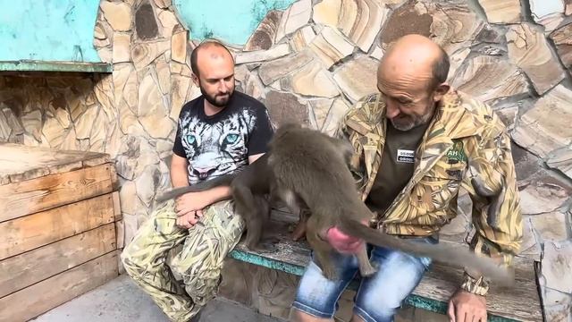 Вы только посмотрите КАК Люся ПРОСИТ ПРОЩЕНИЯ у Влада за свое нападение))) смотреть онлайн