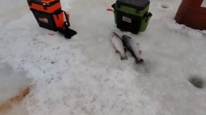 02.01.26 г. РК Волна.