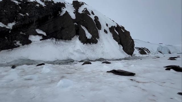 Утро 1-ого января смотреть онлайн