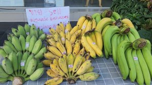 Проход по Северной и 3-ей Дороге Паттайя 🍌 🌴 🥥