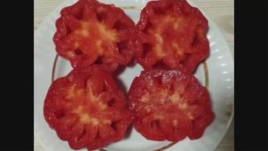 Каталог томатов на  2026 год. Часть 10.  г. Киров  т. 89229284031.