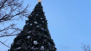 Новогодняя елка рядом с ЦУМ и Большим театром в Москве.