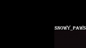 кс 1.6 парадис