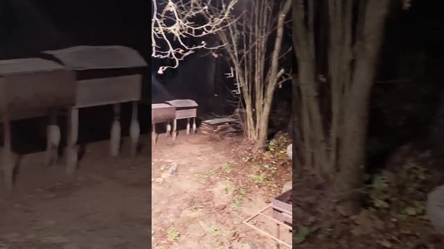 video5386681002628255136