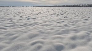 Охота на зайца в глубоком снегу 01.01.2026